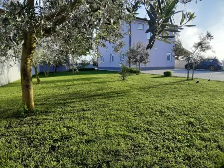 Villa Zeus à Bokordici – piscine et terrasse pour 9 : photo 11