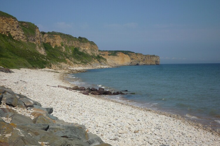Maison bois 4 pers avec jardin à Gouville-sur-Mer - Photo 32