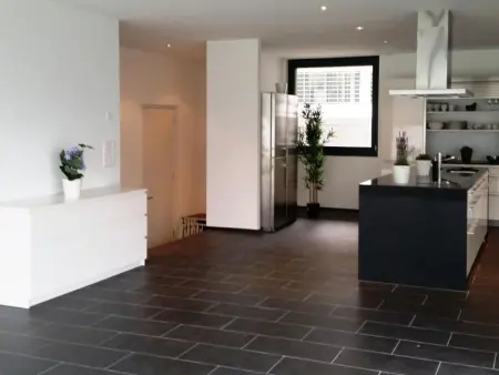 Villa am See 5 / Beach House, Maison 10 personnes à Sisikon - Photo 5