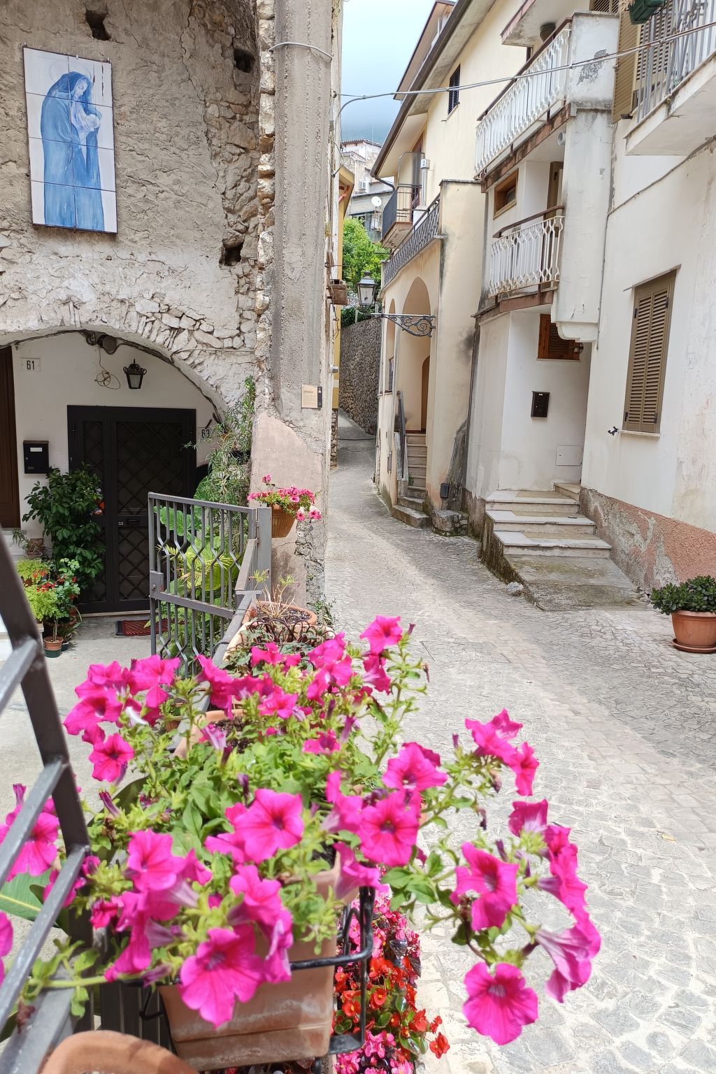 Giardino dei Limoni, appartement Formia - Photo 5