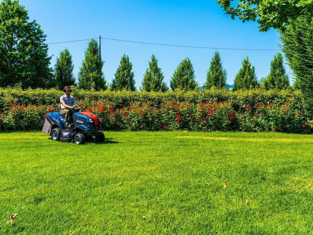 Appartement Lavanda à Scandiano - Ferme bio 10 ha - Photo 6