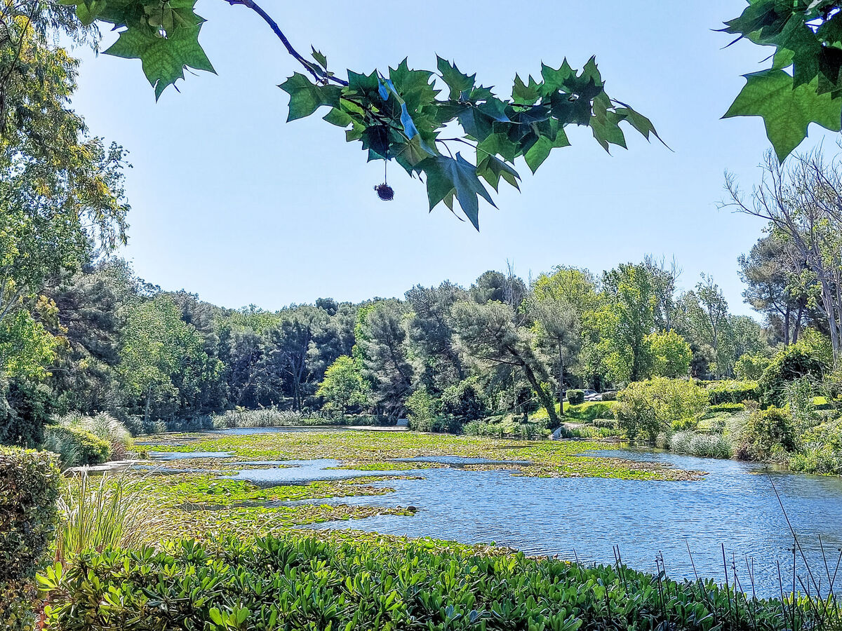 Appartement Les Rivages de Coudoulière, vue mer - Photo 28