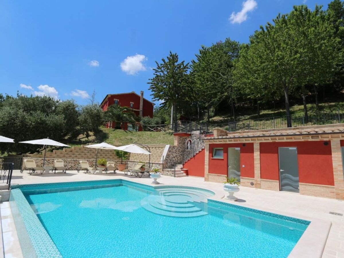 Casa Sacciofa, maison 12 pers. vignes et oliviers - Photo 3