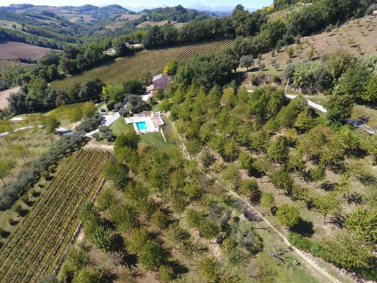 Casa Sacciofa, maison 12 pers. vignes et oliviers - Photo 24