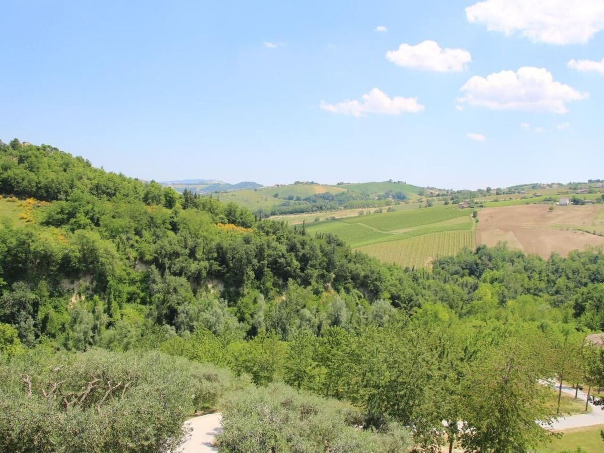 Casa Sacciofa, maison 12 pers. vignes et oliviers - Photo 26