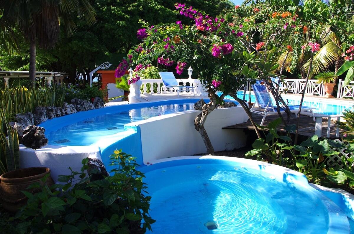 Bungalow avec jacuzzi partagé et piscine à Grand-Bourg, Guadeloupe - Photo 6