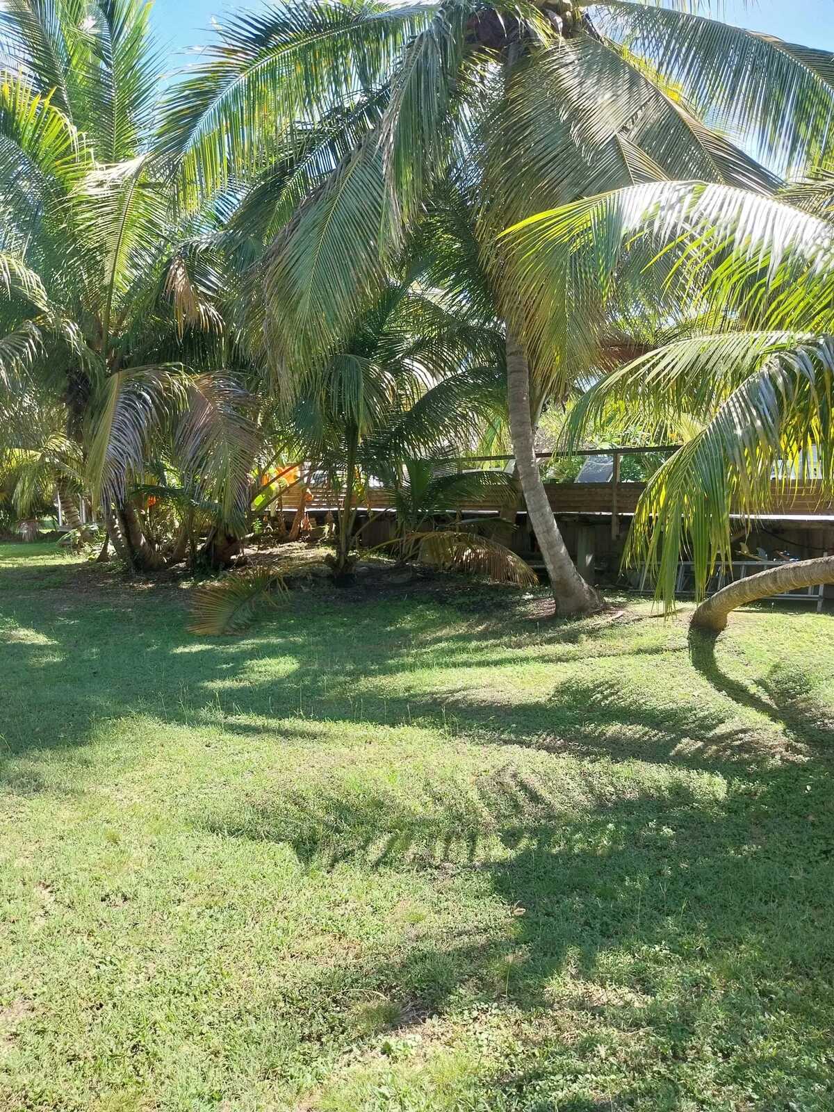 Bungalow avec jardin privé et piscine partagée à Grand Bourg - Photo 14