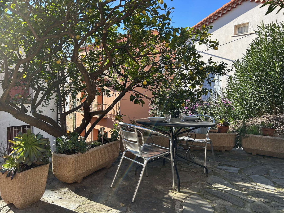 Studio avec jardin à 50m de la plage à Banyuls - Photo 1