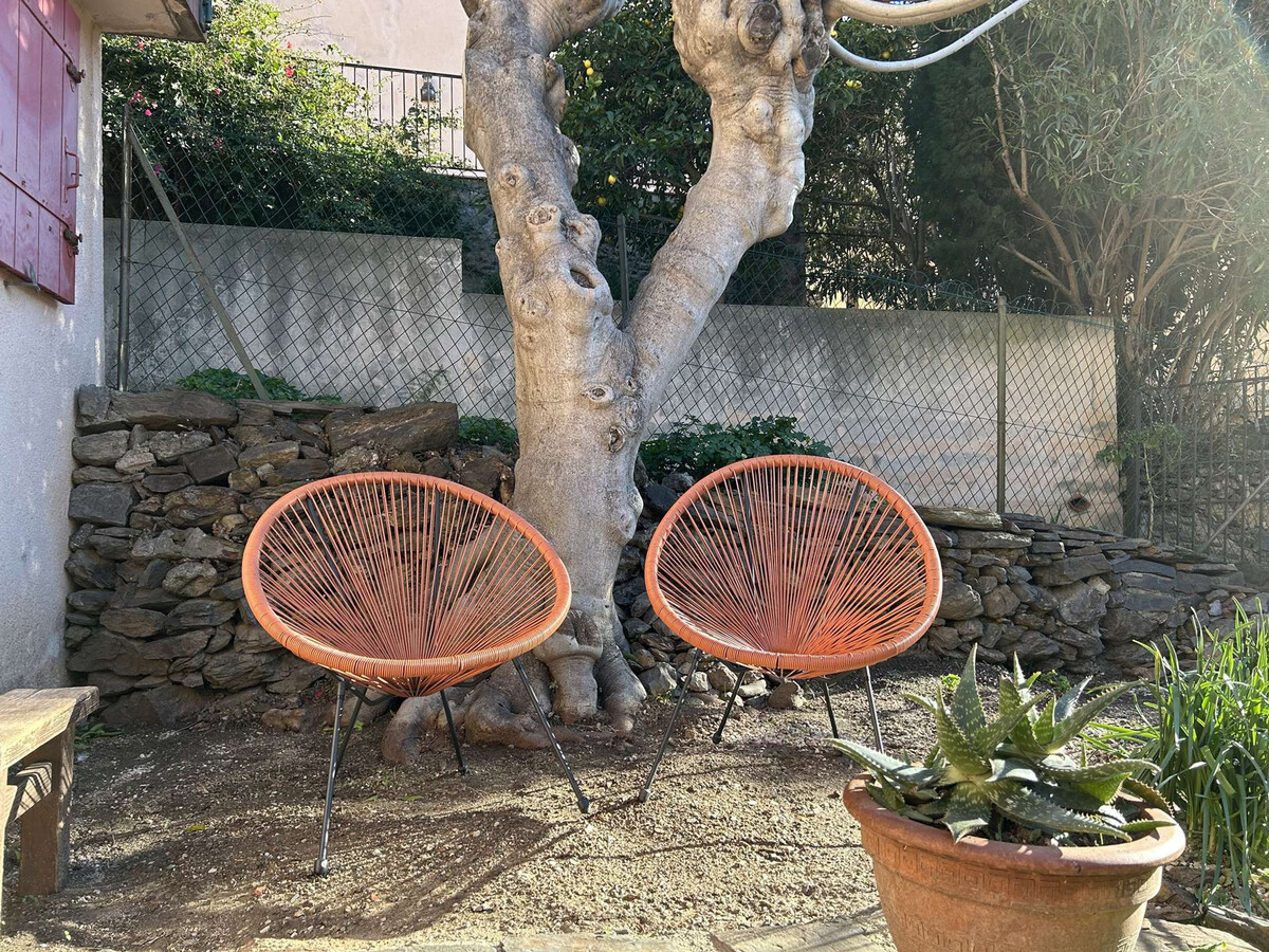 Studio avec jardin à 50m de la plage à Banyuls - Photo 6