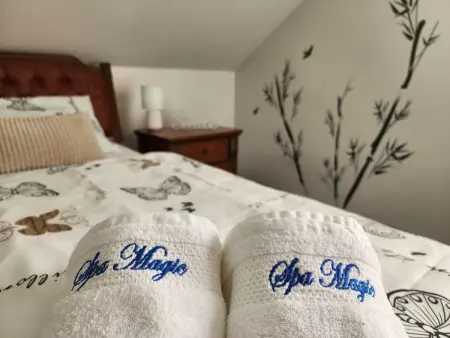 Villa Spa Magic – Maison 4 chambres avec spa à Tuhelj : photo 19