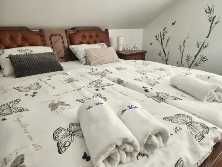 Villa Spa Magic – Maison 4 chambres avec spa à Tuhelj : photo 20