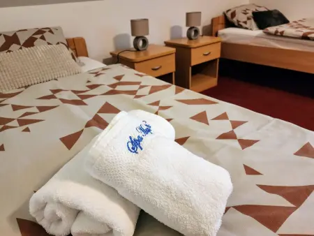 Villa Spa Magic – Maison 4 chambres avec spa à Tuhelj : photo 22