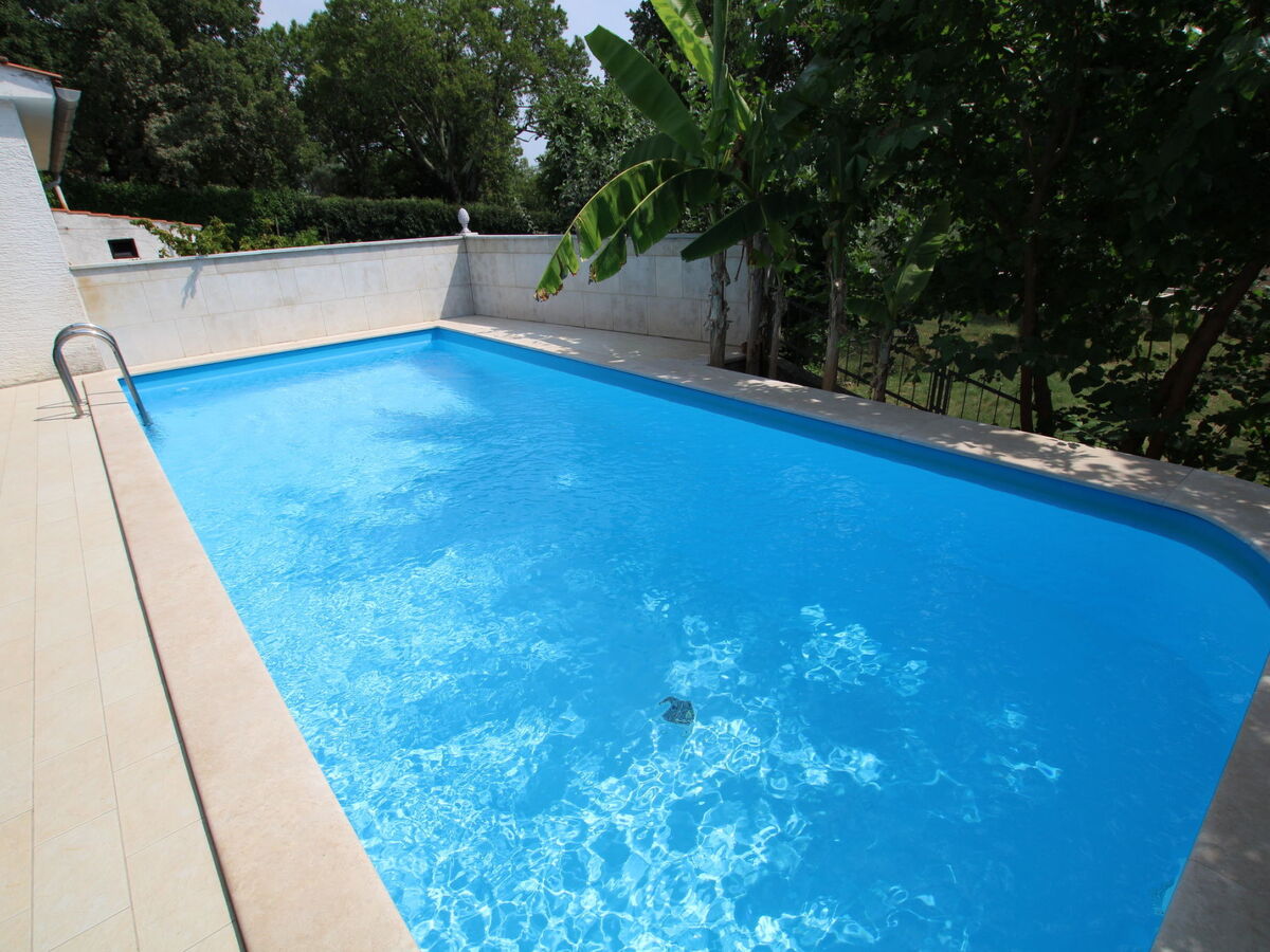 Villa Viktoria à Dracevac : maison 3 chambres piscine - Photo 5