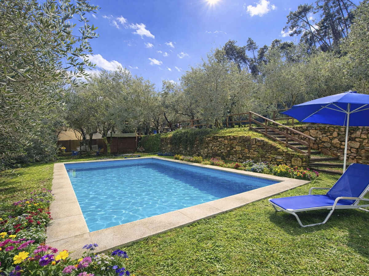 Gîte Micla avec piscine à Capannori - Photo 1