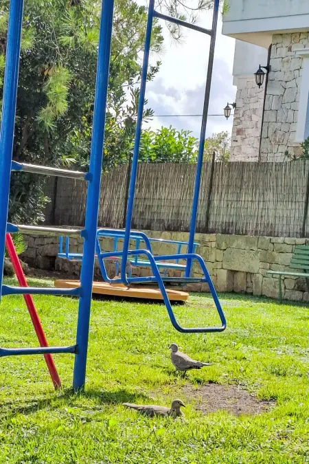 Agriturismo Salinola da Fabio&Paola – 5 ch, 15 pers : photo 28