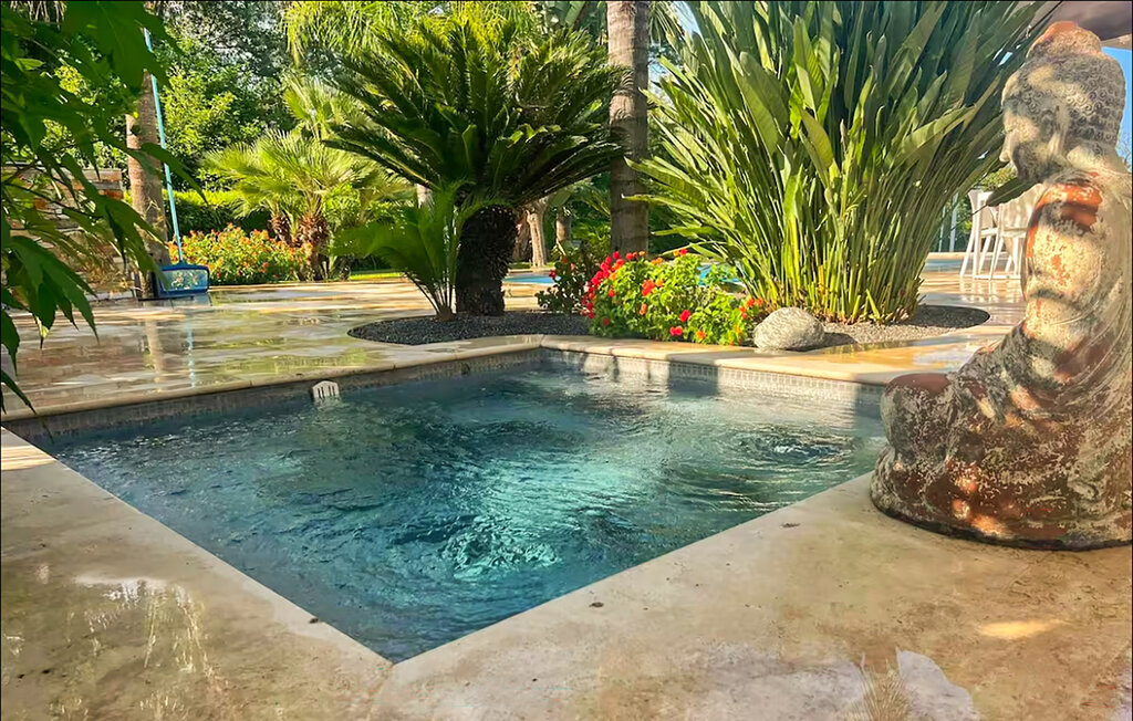 Maison piscine & jacuzzi à Solliès-Pont - Photo 7