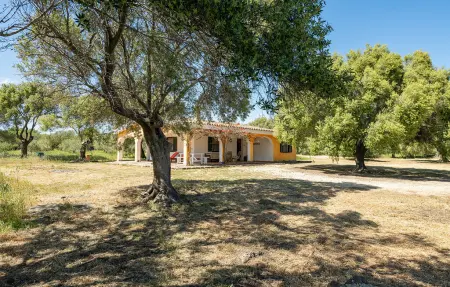 Location maison à Orosei