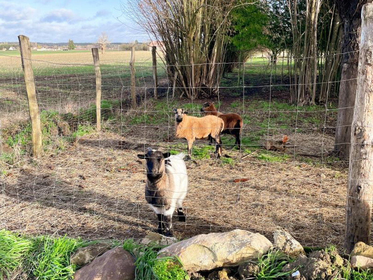 Gîte Touraine 4 pers. – Cheminée, jardin, wifi - Photo 19
