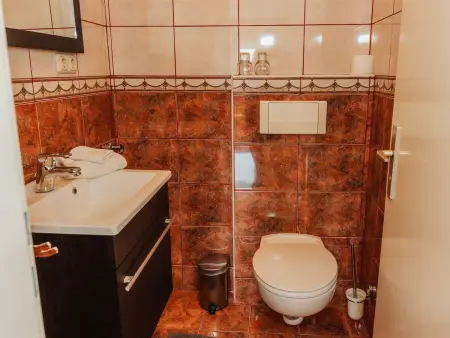 House Dugo Selo M&A – Maison 8 pers. avec piscine : photo 37