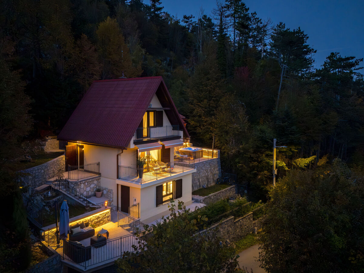 House Hillside Lodge à Fužine, 2 chambres avec jacuzzi - Photo 1