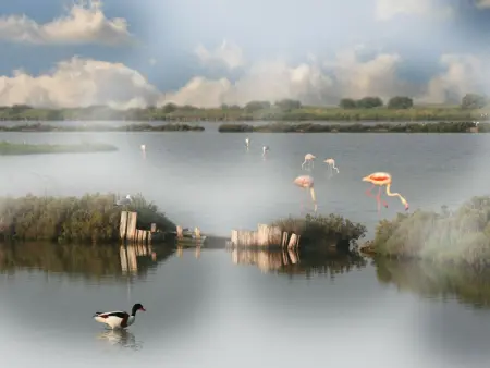 Location maison à Lido di Pomposa, Eckhaus in Lido Di Volano, großer Innenhof, Grillplatz