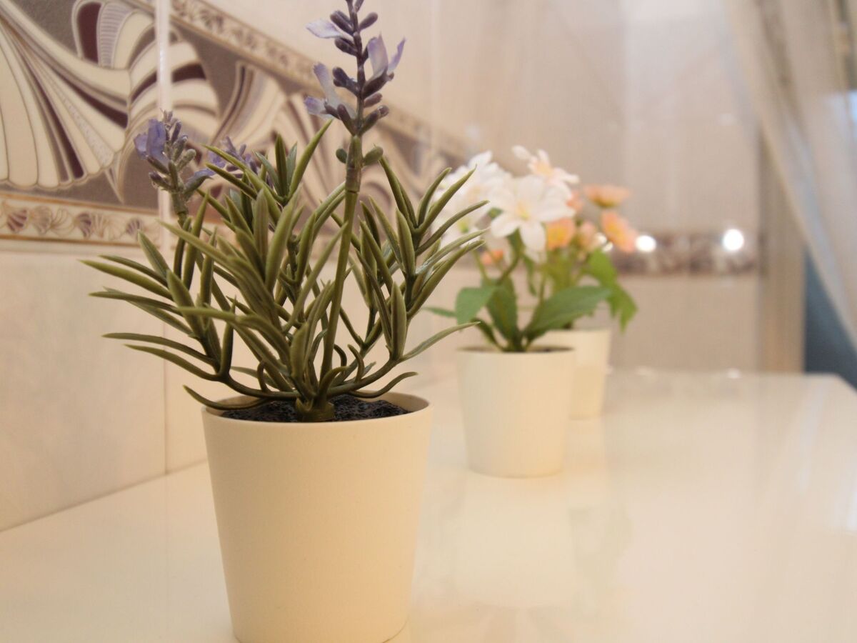 Janna e Mare – Appartement 8 pers. à Porto San Paolo - Photo 14