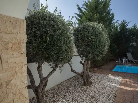 Villa 3 chambres, piscine privée, Protaras : photo 26