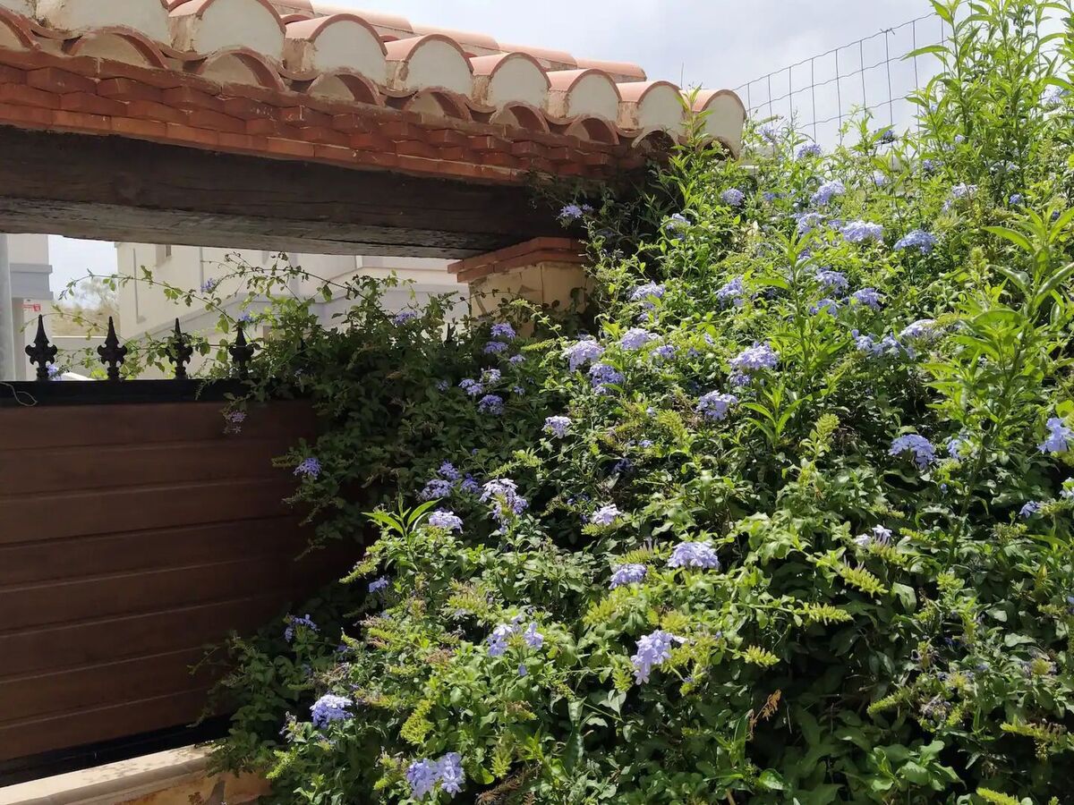 Maison 8 pers. avec piscine privée près de Grenade - Photo 20
