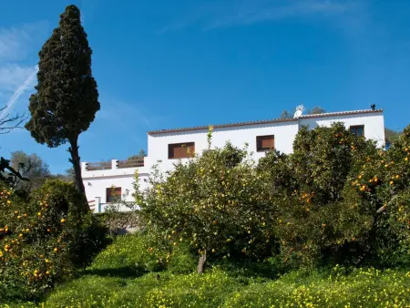 Villa La Noria, mit privatem Pool, Wifi, Garten, Maison 15 personnes à Comares - Photo 40