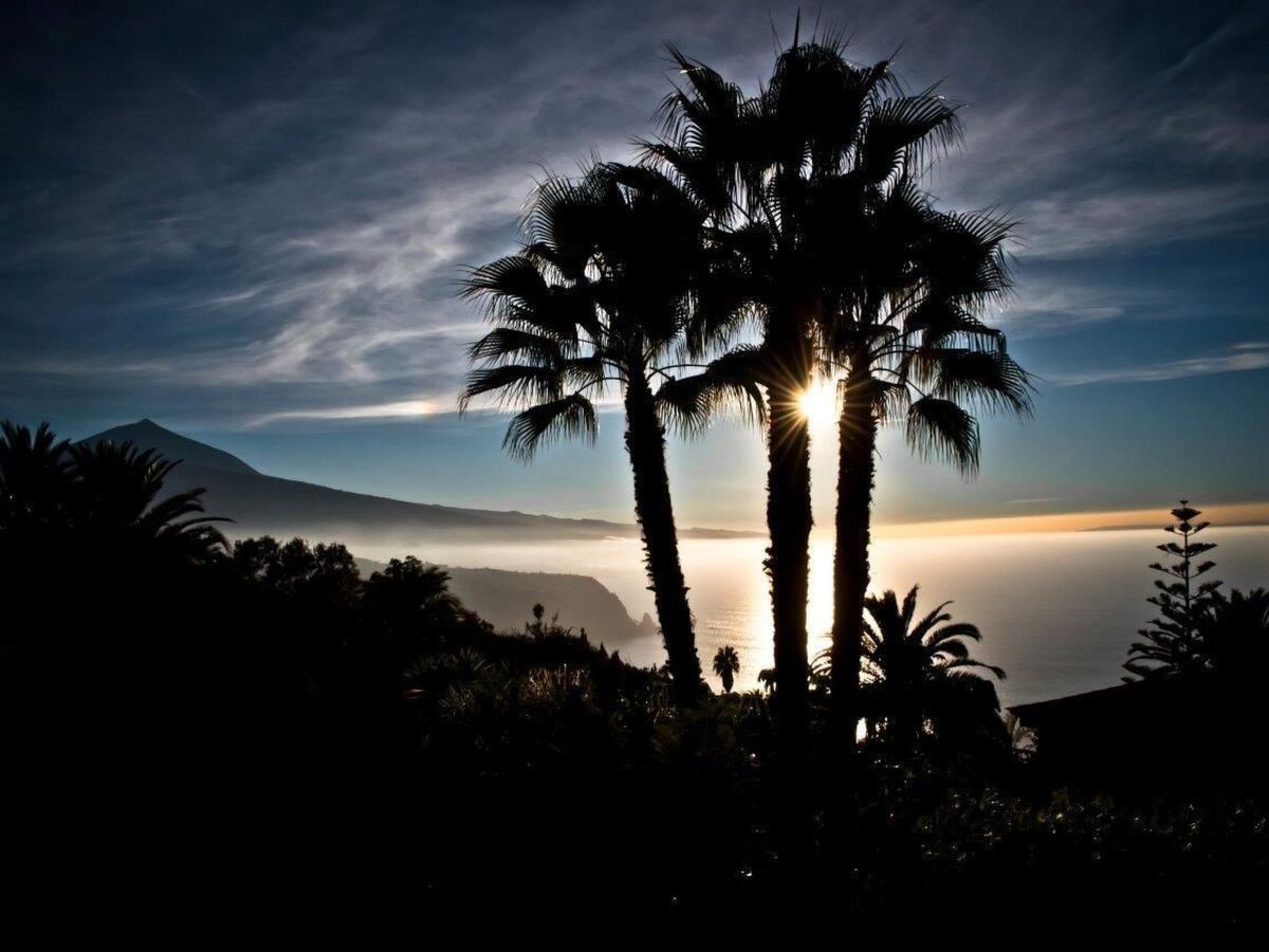 Bungalow luxe La Matanza, vue Teide et piscine - Photo 6