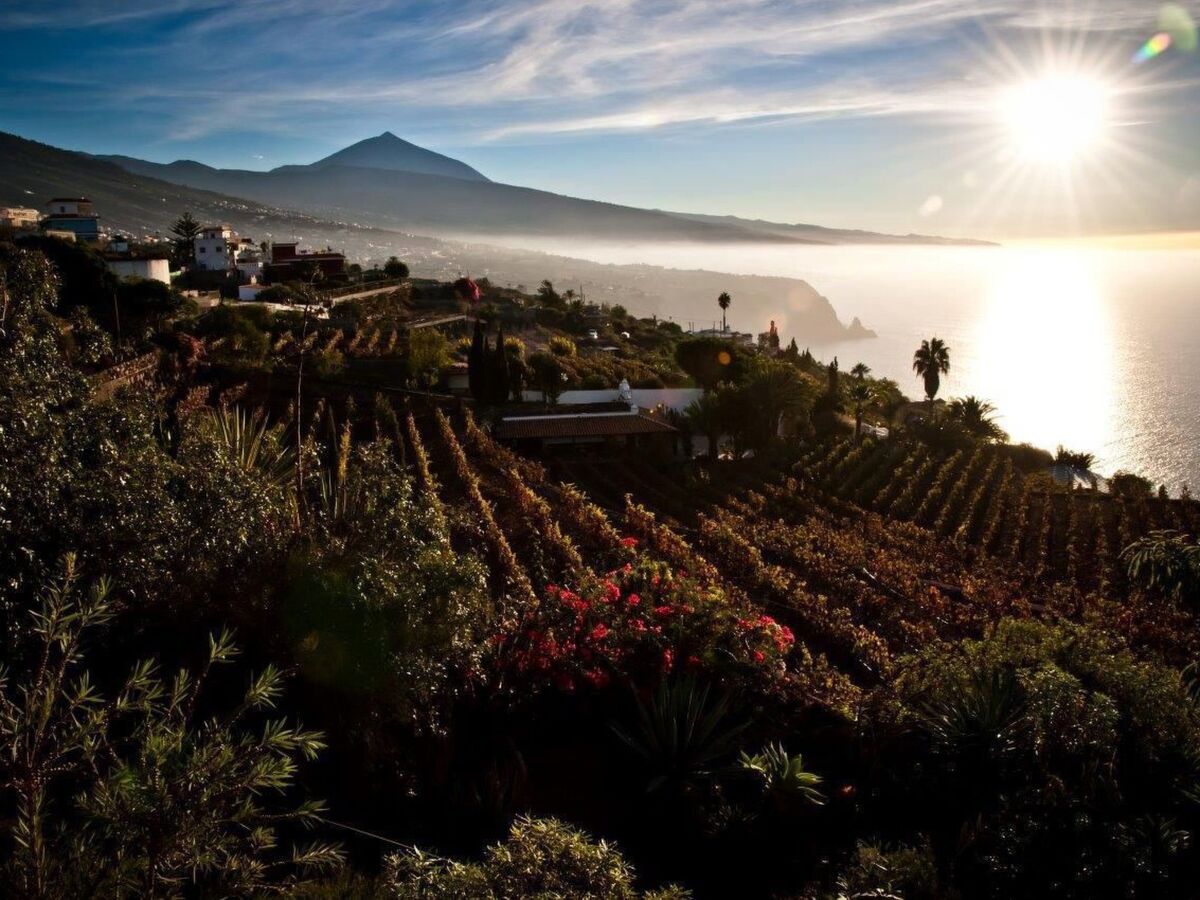 Appartement luxe sur falaise avec vue Teide - Photo 24
