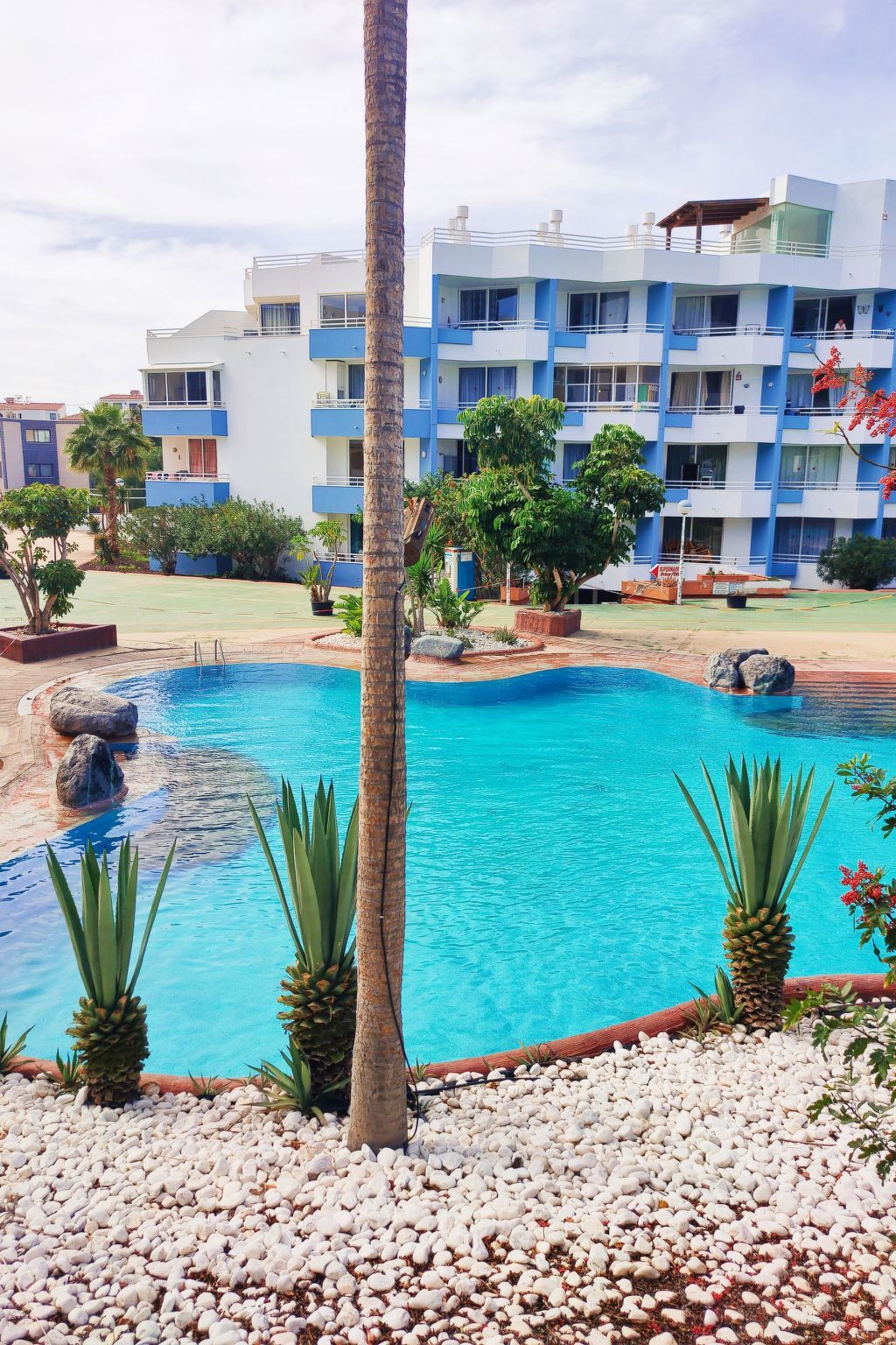 Appartement Green Park, piscine et jardin à Golf del Sur - Photo 35