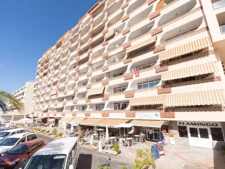 Appartement 8e étage, balcon vue mer à Palm-Mar : photo 32