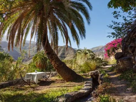 Studio avec jardin et vue Tamadaba à Agaete : photo 17