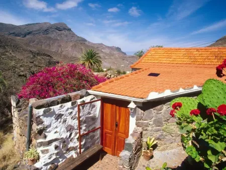 Studio avec jardin et vue Tamadaba à Agaete : photo 20