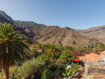 Studio avec jardin et vue Tamadaba à Agaete : photo 26