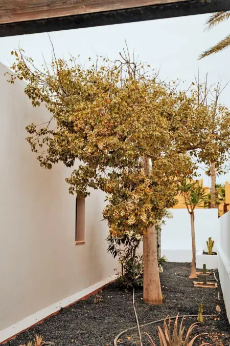 Komfortables Ferienhaus in Corralejo mit privatem Garten und beheiztem Pool - Photo 38
