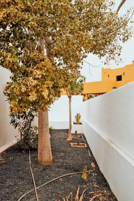 Komfortables Ferienhaus in Corralejo mit privatem Garten und beheiztem Pool - Photo 39