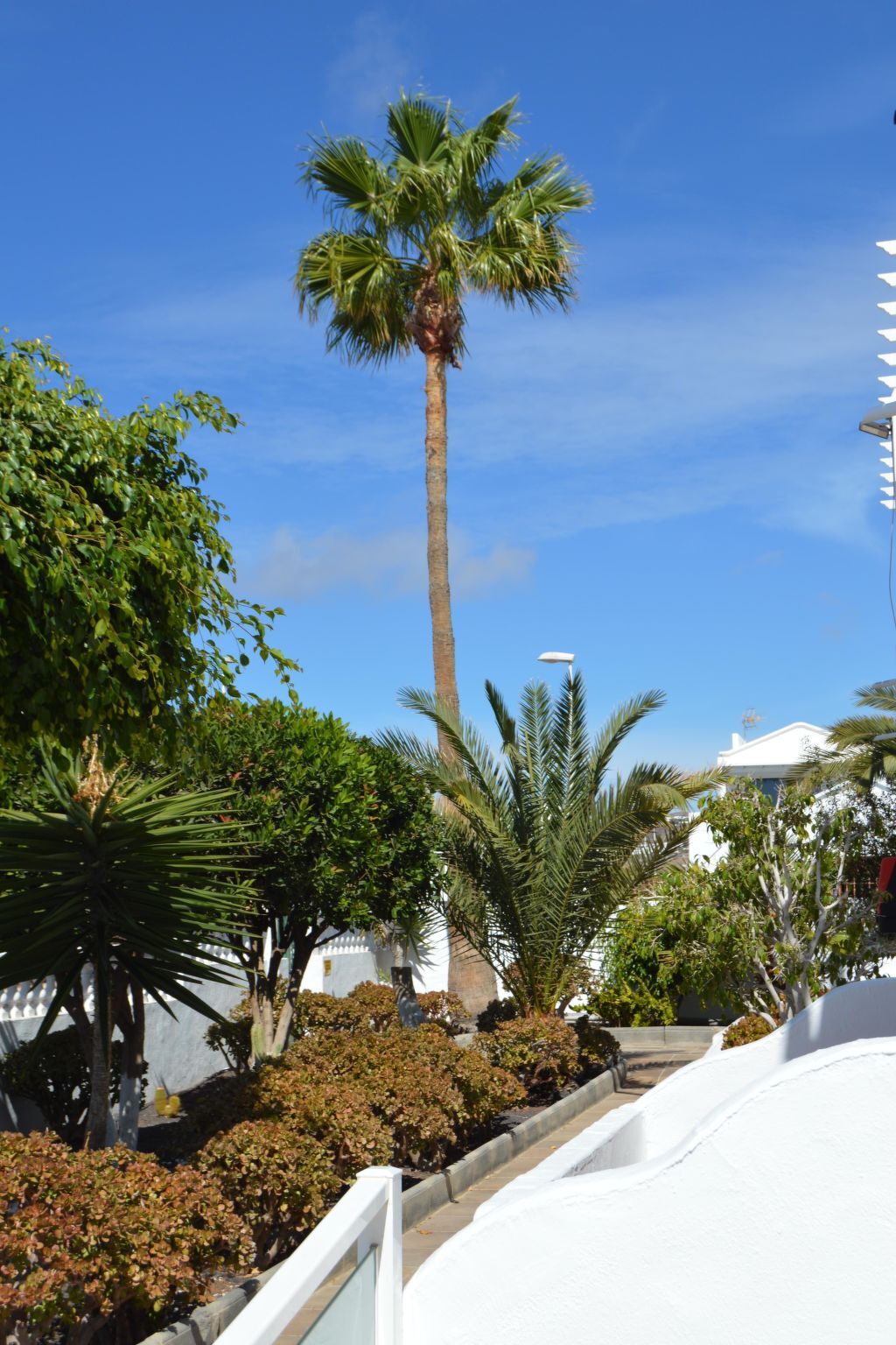 Lava Teneguia - Appartement 2 chambres avec jardin à Puerto del Carmen - Photo 2