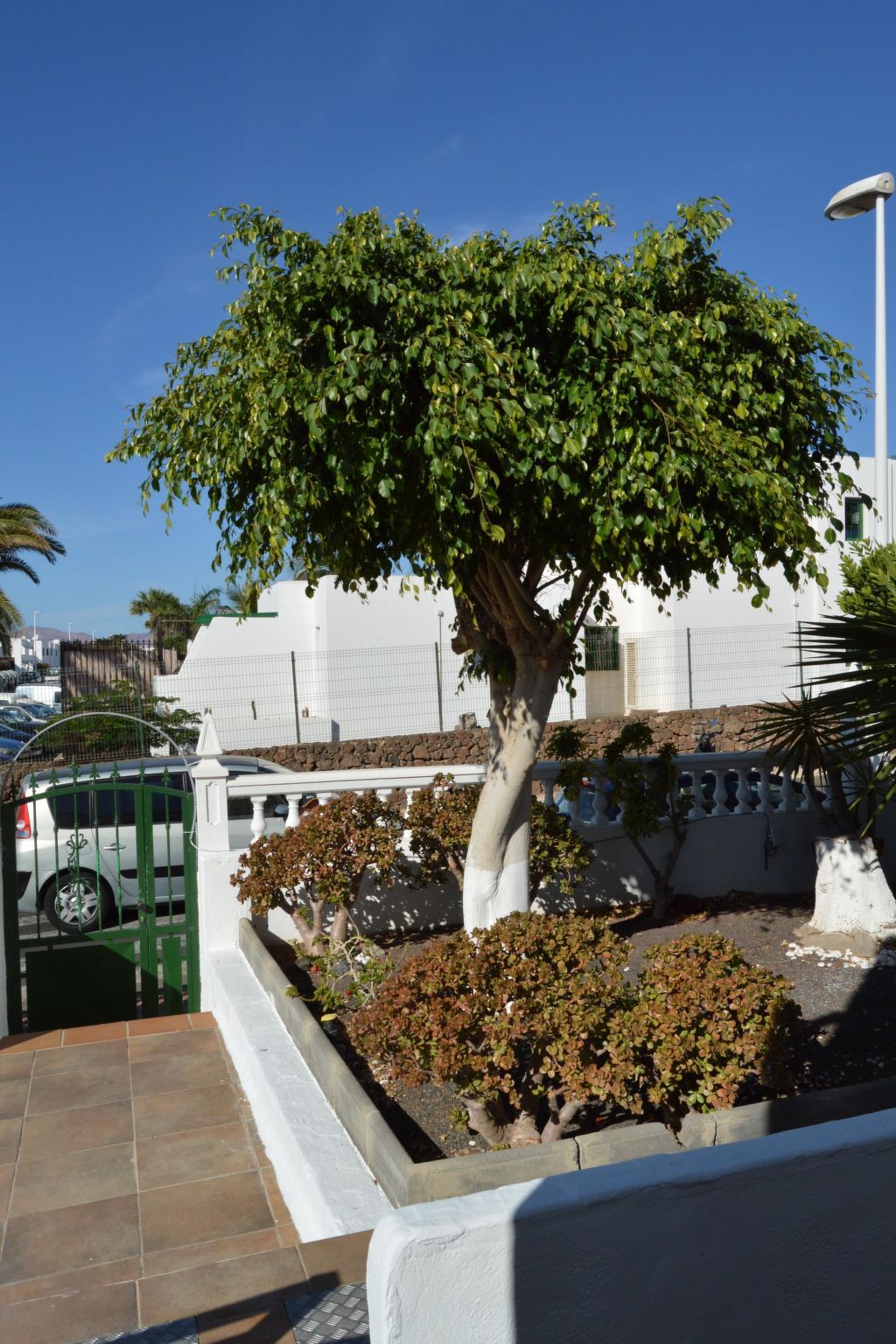 Lava Teneguia - Appartement 2 chambres avec jardin à Puerto del Carmen - Photo 4