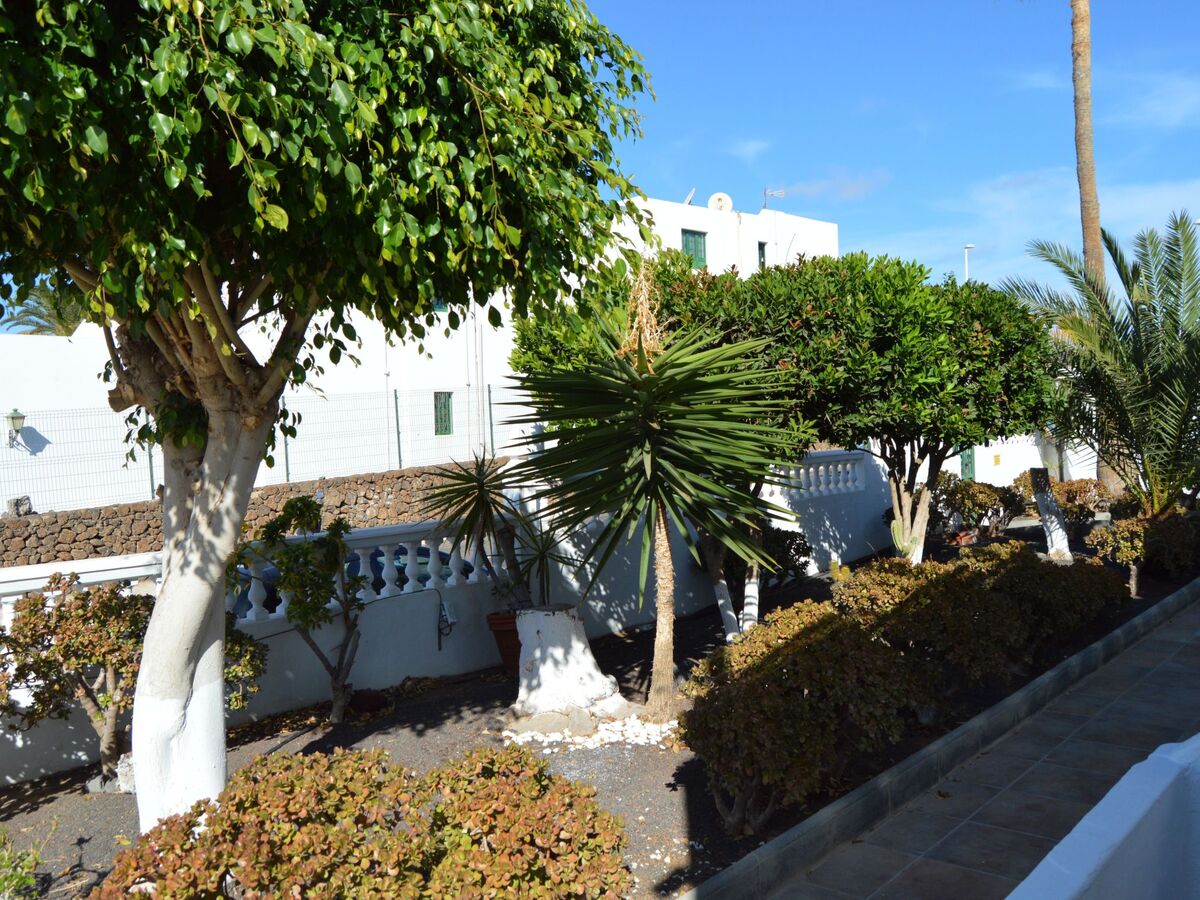Lava Teneguia - Appartement 2 chambres avec jardin à Puerto del Carmen - Photo 5