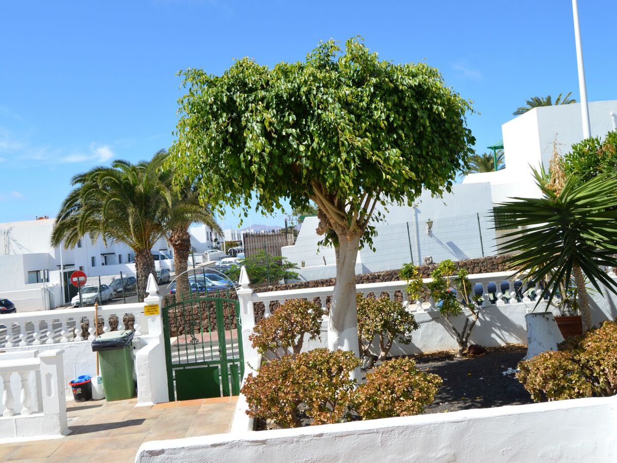 Lava Teneguia - Appartement 2 chambres avec jardin à Puerto del Carmen - Photo 29