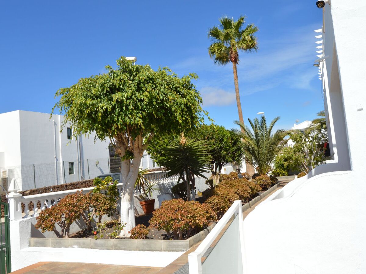 Lava Teneguia - Appartement 2 chambres avec jardin à Puerto del Carmen - Photo 31