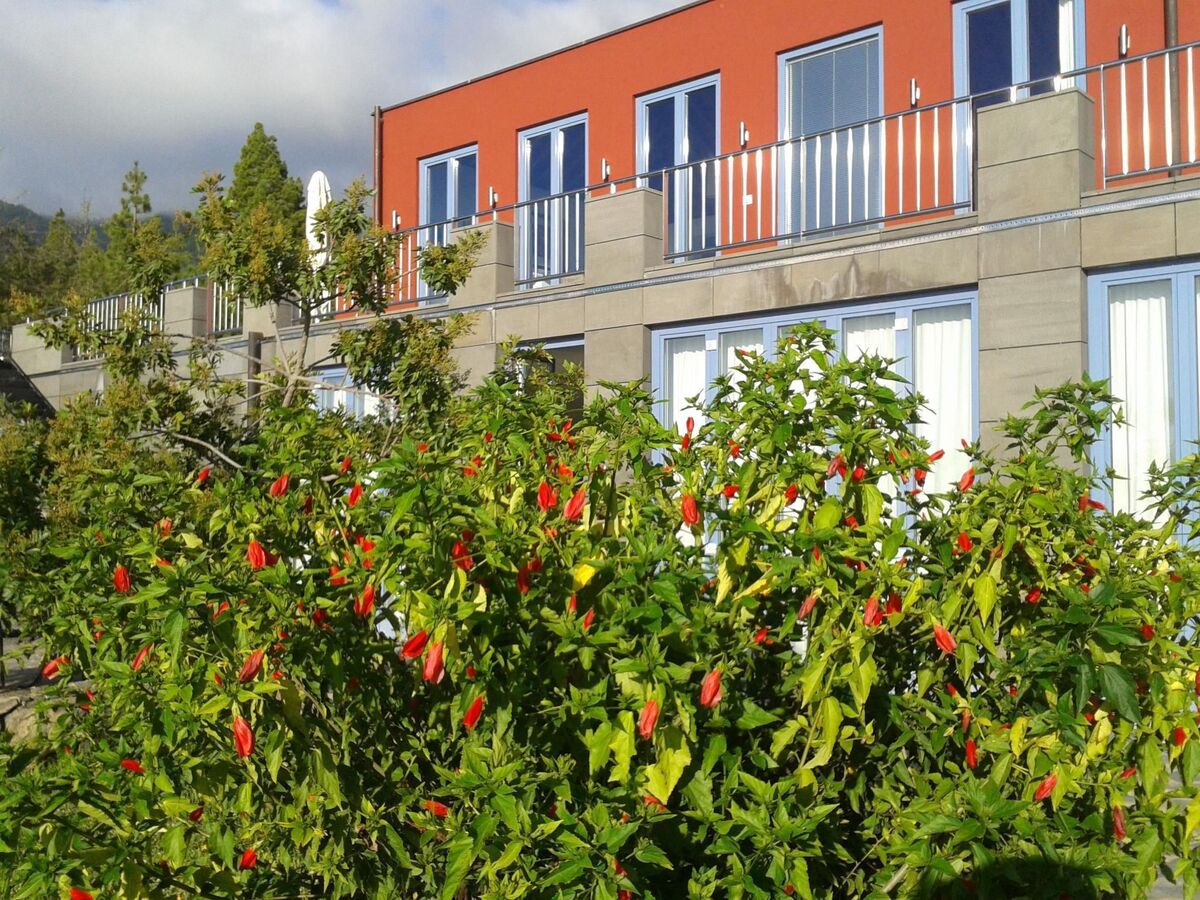 Villa Atlantico, maison 4 chambres avec piscine chauffée - Photo 26