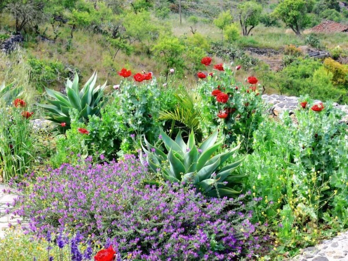 Villa Atlantico, maison 4 chambres avec piscine chauffée - Photo 28