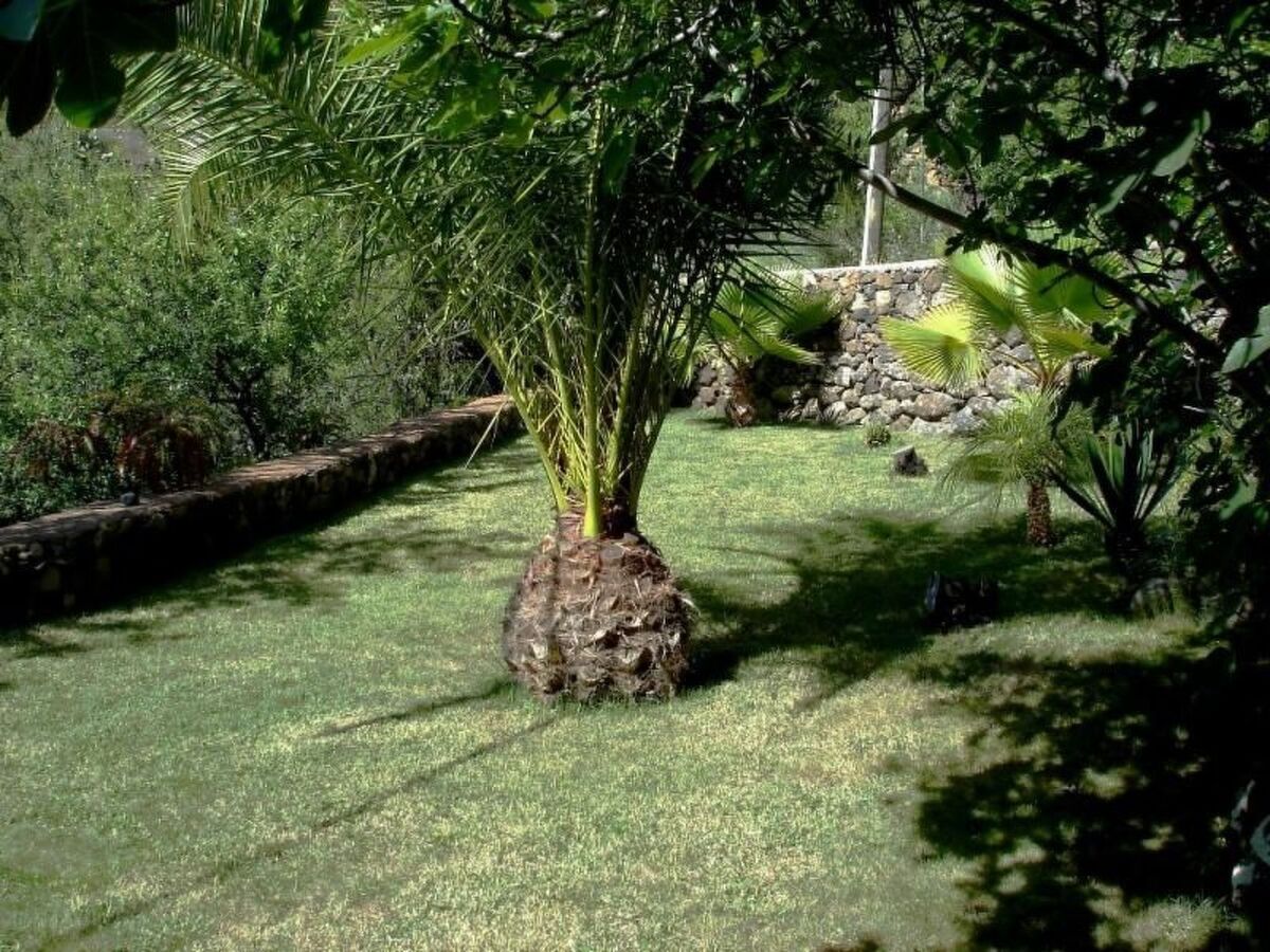 Villa panoramique La Palma, 6 pers., vue océan - Photo 28