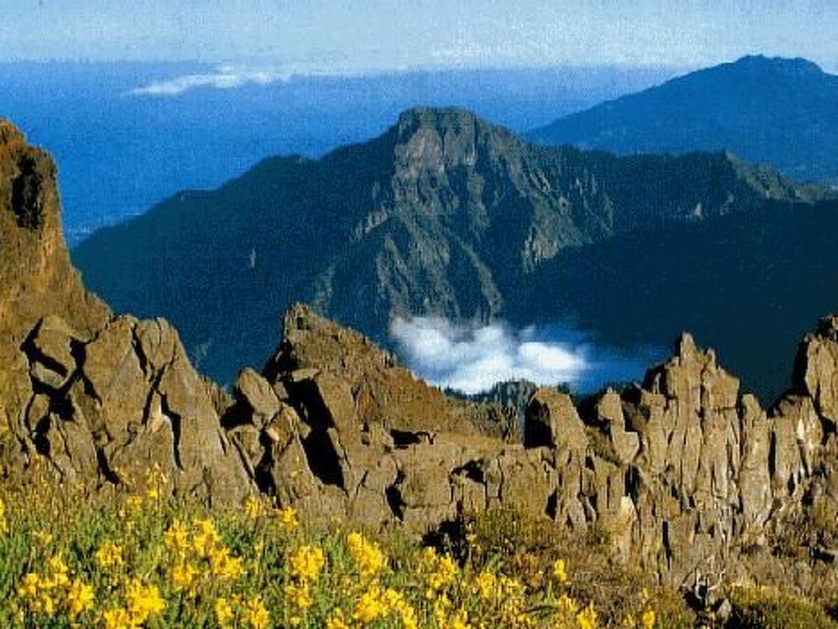 Villa panoramique La Palma, 6 pers., vue océan - Photo 37