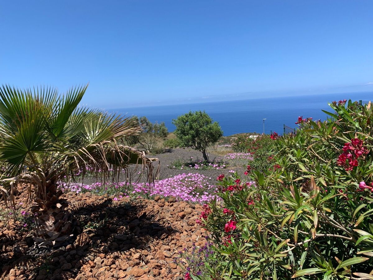 Villa Magica à Puntagorda : Infinity-pool et vue mer - Photo 29