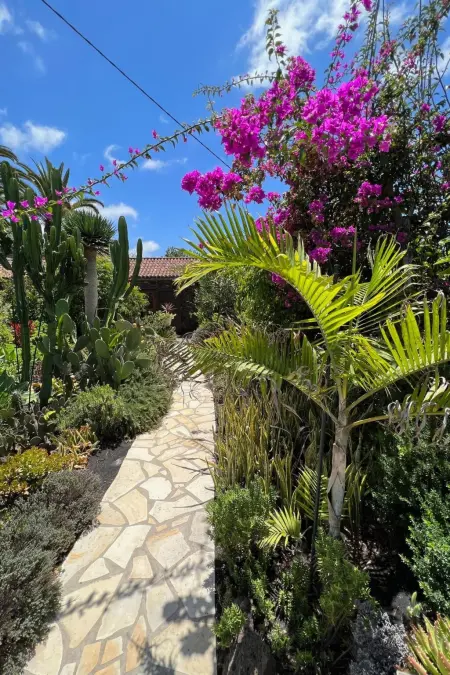 Casa Jardín Tropical – Maison 1 ch, jardin botanique, vue océan : photo 12
