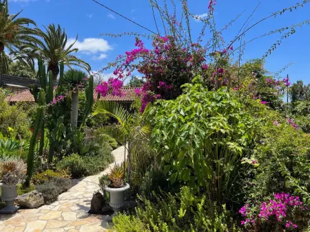Casa Jardín Tropical – Maison 1 ch, jardin botanique, vue océan : photo 15